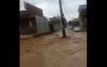 شکر گڑھ میں خواتین اور بچوں سمیت 20 سے 25 افراد سیلابی ریلے میں پھنس گئے