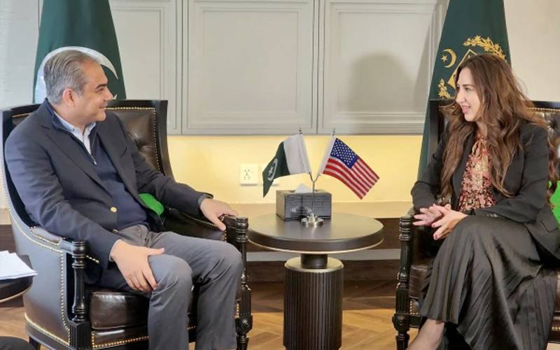وزیر داخلہ سے قائم مقام امریکی سفیر کی ملاقات؛ پاکستان کو مطلوب افراد سے متعلق تبادلہ خیال