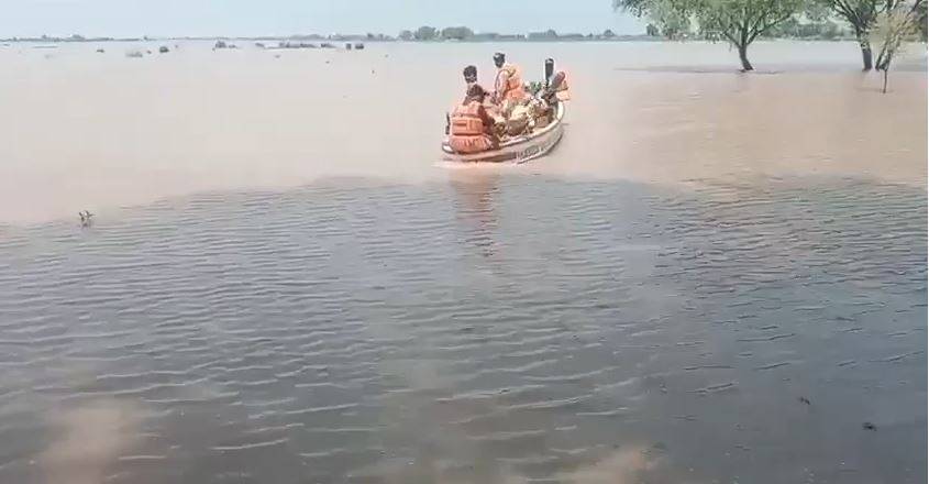 راوی میں ریلیف آپریشن میں مصروف امدادی لائف بوٹ میں سانپ گھس گیا