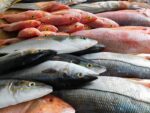 پاکستانی سی فوڈ معیار کا عالمی اعتراف، امریکا کو برآمدات میں مزید 4 سال کی توسیع کی اجازت مل گئی