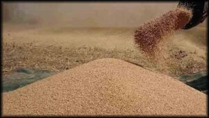 سیلابی صورتحال، پنجاب میں 10کلو آٹے کا تھیلا 300 روپے مہنگا،نان بائی ایسوسی ایشن کا روٹی کی قیمت میں اضافے کا مطالبہ