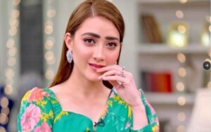 ٹک ٹاکرز اور اداکار اپنا کام چھوڑ دیں، یہ کام سیاستدانوں نے شروع کردیا ہے: مومنہ اقبال کا طنز