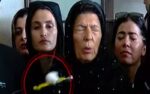 علیمہ خان پر میڈیا سے گفتگو کے دوران انڈاپھینک دیا گیا