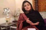 پی ٹی آئی کی سینیٹر فلک ناز چترالی نے بھی قائمہ کمیٹیوں سے استعفیٰ دے دیا، تعداد 10 ہو گئی۔