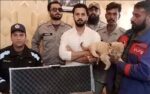 این سی سی آئی اے نے یوٹیوبر رجب بٹ، انس علی اور اقراء کنول کو 15 ستمبر کو طلب کر لیا