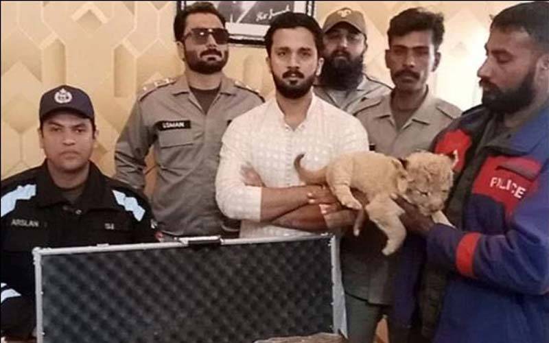 این سی سی آئی اے نے یوٹیوبر رجب بٹ، انس علی اور اقراء کنول کو 15 ستمبر کو طلب کر لیا
