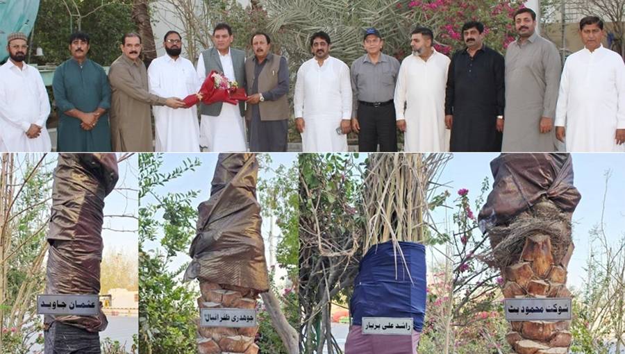 دوستی کے پچیس سال پورے ہونے پر دوستوں کے نام پر کھجور کے پودے لگا دیئے۔