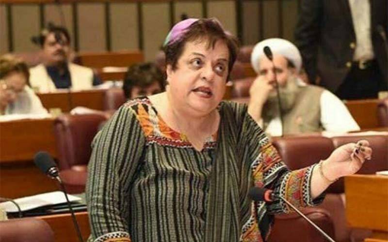 اسلام آباد پولیس نے ایمان مزاری کی گرفتاری کے لیے رات ایک بجے میرے گھر کا محاصرہ کیا: شیریں مزاری