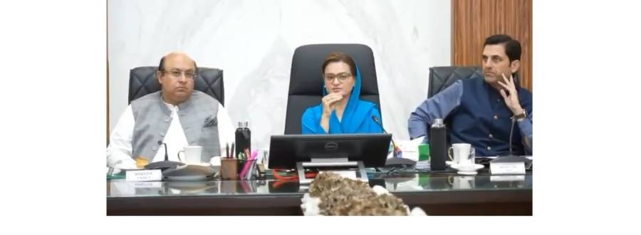 پنجاب حکومت نے سموگ سے نمٹنے کے لئے جامع منصوبہ تیارکرلیا، موٹرویز کے اطراف 3 کلو میٹر علاقہ سموگ فری ہوگا