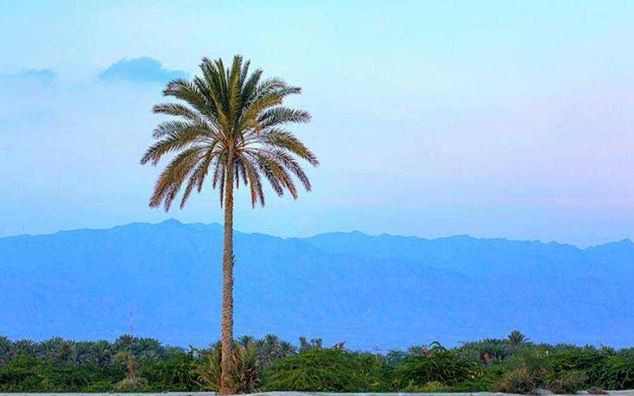 میری آنکھوں میں زندگی ہے ابھی۔۔۔