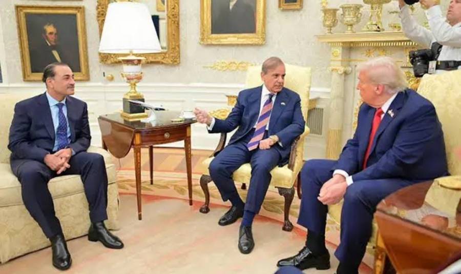 شہباز شریف کی دھاک، ٹرمپ کی منادی