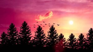 اتنی کدورتیں ہیں تو کیونکر ملائیں ہاتھ۔۔۔