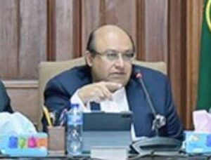 ریوائزڈ نیشنل ایکشن پلان کی کامیابی پائیدار امن اور ترقی کی بنیاد ہے: وزیر خزانہ پنجاب