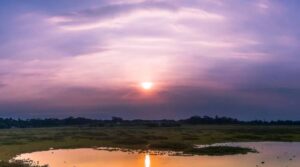 یہ برتری ہے کس کی۔۔۔؟