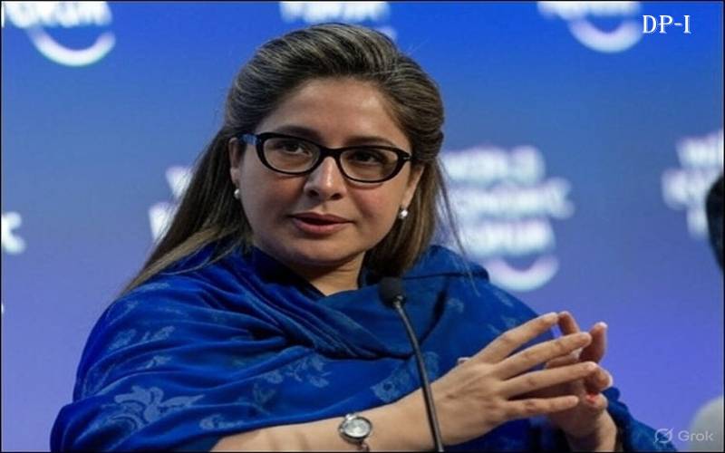 پی ٹی آئی رہنما شاندا نہ گلزار کے خلاف ریاست مخالف پوسٹس پر مقدمہ درج
