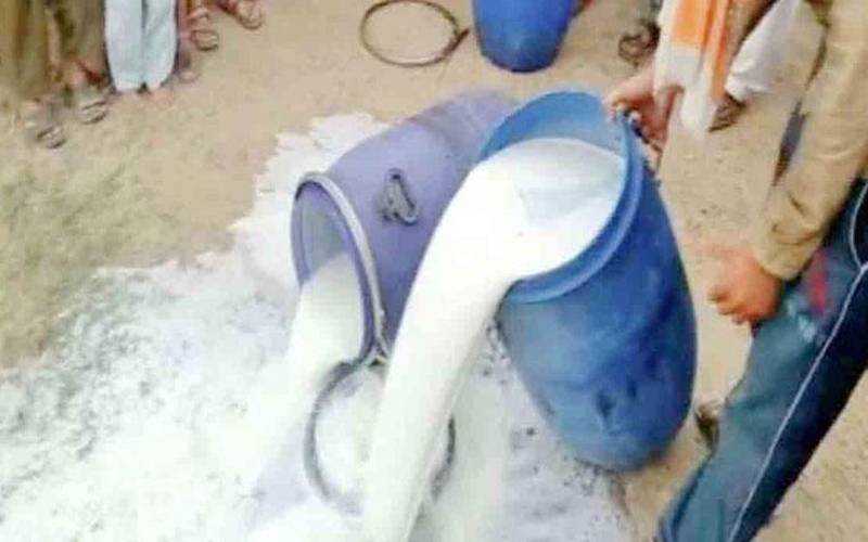 اسلام آباد فوڈ اتھارٹی کی کارروائی،ہزاروں لٹر ملاوٹی دودھ تلف ، ایک لاکھ سے زائد جرمانے کر دیئے