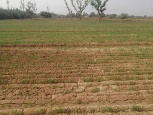 پاکستانی کسانوں کا آلودگی پھیلانے والی جرمن کمپنیوں کے خلاف مقدمے کا اعلان