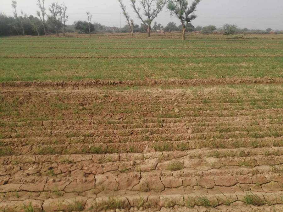 پاکستانی کسانوں کا آلودگی پھیلانے والی جرمن کمپنیوں کے خلاف مقدمے کا اعلان