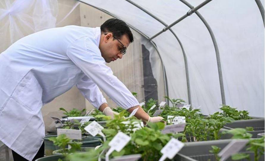 پاکستانی نوجوان فصلوں کی بہتر پیداوار کے لیے چین میں کاشتکاری کی مہارتیں سیکھنے میں مشغول