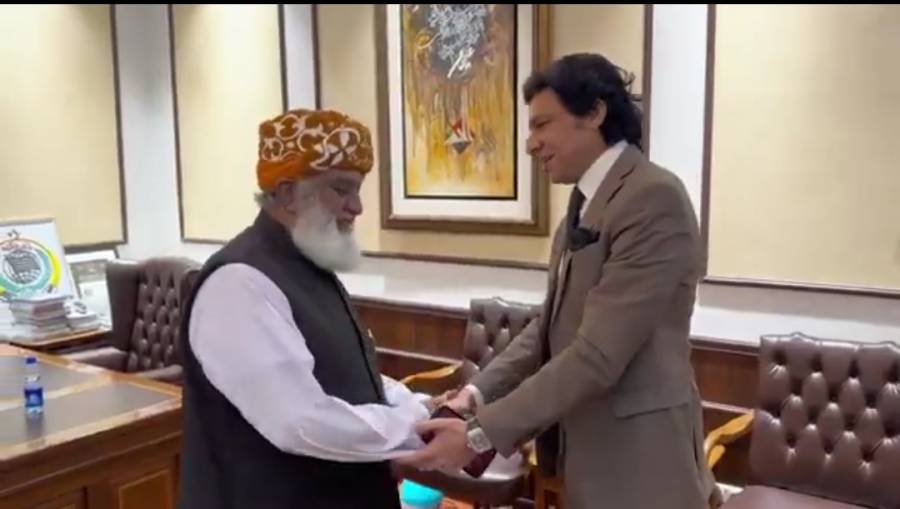 فیصل واوڈا کسی خاص پیغام کے ساتھ نہیں آئے تھے، مولانا فضل الرحمان کا ملاقات پر رد عمل
