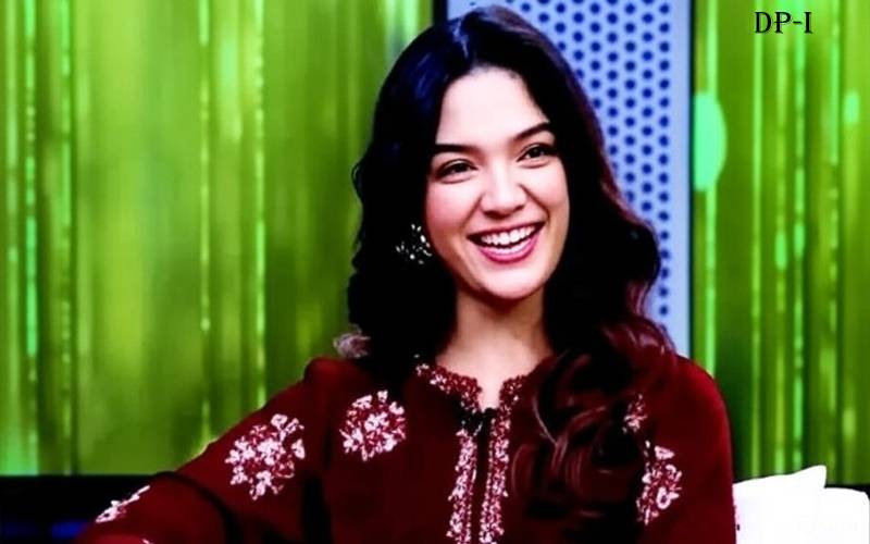 انڈسٹری میں کام کرنے کے بعد بھیک کی طرح معاوضہ مانگنا پڑتا ہے، رومیسہ خان