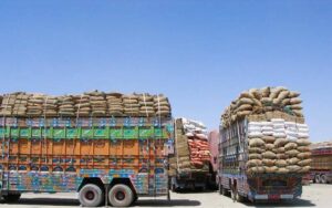 پاکستان کی جانب سے افغانستان بارڈرز کی بندش سے کتنے کروڑ ڈالرز کا نقصان ہوا؟