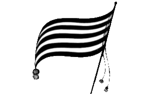 جے یو آئی ف اور نیشنل پارٹی کا 27ویں آئینی ترمیم کی مخالفت کا اعلان