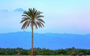 آہستہ آہستہ دل کے سارے زخم پرانے سلتے ہیں۔۔۔