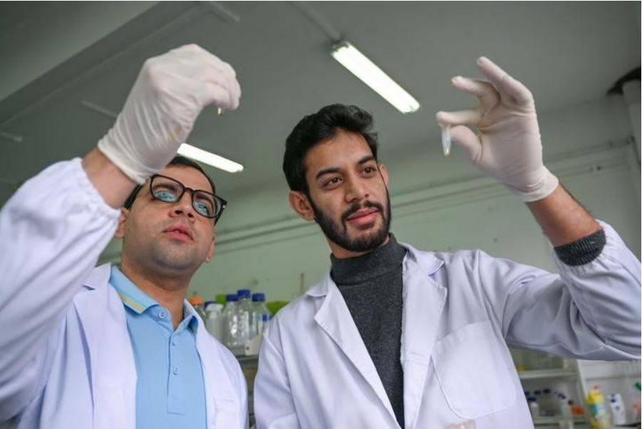 زرعی سائنس اور ٹیکنالوجی کے تعاون نے سی پیک میں نئی توانائی کا جذبہ پیدا کیا