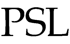 پاکستان سپر لیگ میں مزید 2 نئی ٹیموں کی فروخت کا عمل شروع