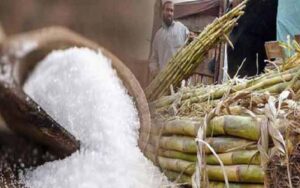 کرشنگ نہ کرنے والی ملوں کے خلاف آج سے ایکشن ہوگا: کین کمشنر پنجاب