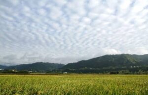 شدید خشک سالی: ایران نے بارش برسانے کیلئے کلاؤڈ سیڈنگ کا آغاز کر دیا