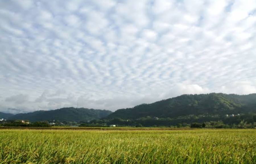 شدید خشک سالی: ایران نے بارش برسانے کیلئے کلاؤڈ سیڈنگ کا آغاز کر دیا