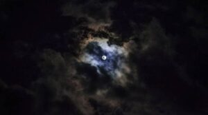 تیری آواز میں ڈر بولتا ہے۔۔۔