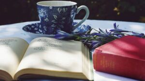 پرانی کتابوں کی دکان۔۔۔