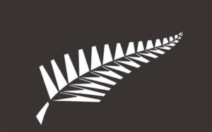 نیوزی لینڈ نے ویسٹ انڈیز کے خلاف پہلے ٹیسٹ کے لیے 14 رکنی اسکواڈ کا اعلان کردیا