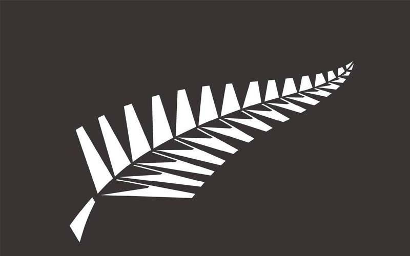 نیوزی لینڈ نے ویسٹ انڈیز کے خلاف پہلے ٹیسٹ کے لیے 14 رکنی اسکواڈ کا اعلان کردیا