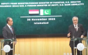 پاکستان اور مصر دہشت گردی کے خلاف متحد، دفاعی و معاشی شراکت داری پر اتفاق