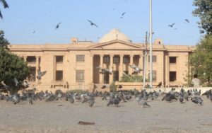 مرتضیٰ بھٹو قتل کیس، عدالت کی اپیل میں درست دستاویزات منسلک کرنے کی ہدایت