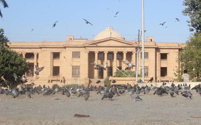 مرتضیٰ بھٹو قتل کیس، عدالت کی اپیل میں درست دستاویزات منسلک کرنے کی ہدایت