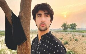 معروف اداکار خاقان شاہنواز نے اداکارہ سبینہ سید سے منگنی کرلی