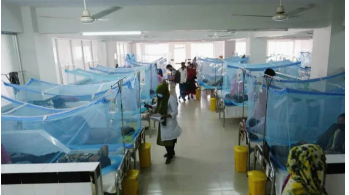 پاکستان میں ایک سال کے دوران 31 لاکھ 55 ہزار افراد میں ملیریا کی تصدیق ہوئی، عالمی ادارہ صحت نے تازہ رپورٹ جاری کردی