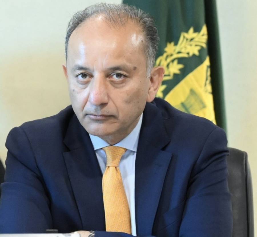 پیپلز پارٹی نے خورشید شاہ اور ندیم افضل چن کے ذریعے پی ٹی آئی کو حکومت بنانے کی پیشکش کی، مصدق ملک