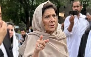 انہیں قاسم اور سلیمان کے نام سے ڈر لگتا ہے اس لئے ویزہ نہیں دے رہے ، اےآئی سے دونوں بھائیوں کی ویڈیو بنائی کہ وہ پاکستان آ کر سیاست کریں گے ، علیمہ خان