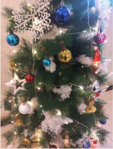 چیئرمین پاکستان پیپلز پارٹی بلاول بھٹو زرداری کی پاکستان سمیت دنیا بھر کی مسیحی برادری کو کرسمس پر مبارکباد