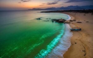 پاکستان کے ساحل پسنی اور جیوانی تک سمندر کے پانی کا رنگ ’سبز‘ ہو گیا