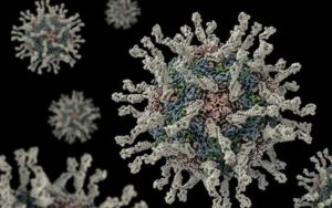 لاہور کے سیوریج میں پولیو وائرس کی تصدیق