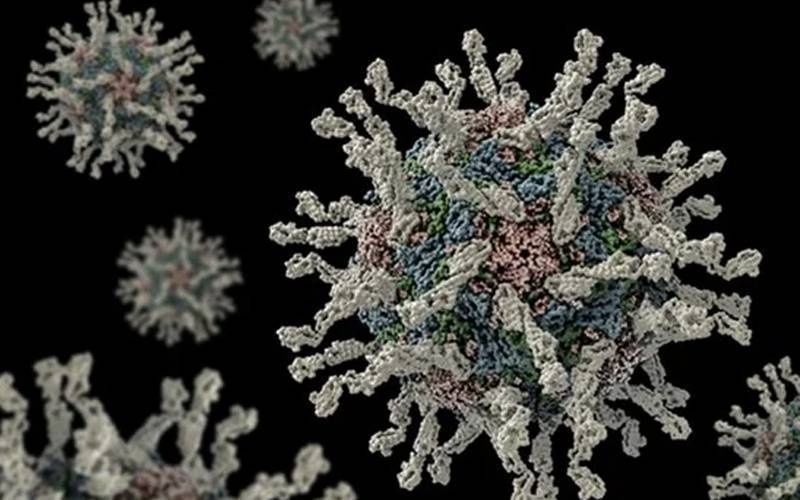 لاہور کے سیوریج میں پولیو وائرس کی تصدیق