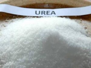 پاکستان میں فرٹیلائزر کی ریکارڈ فروخت نے نئی تاریخ رقم کردی