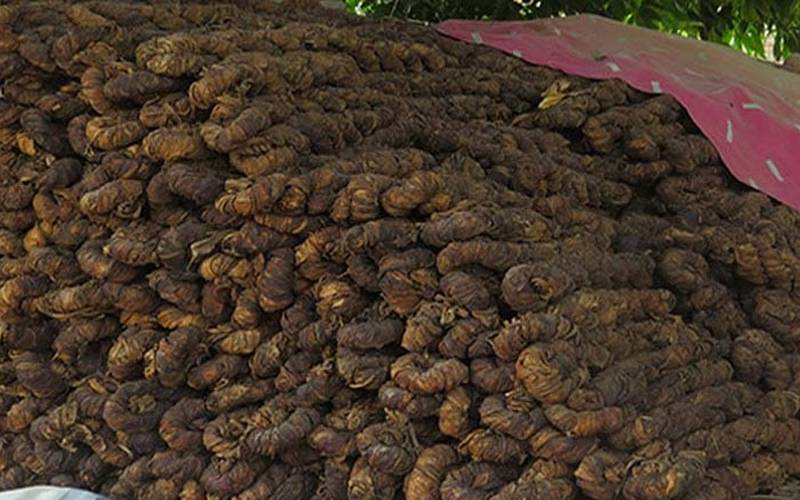 صوابی میں کارروائی کے دوران لاکھوں کلو تمباکو کا بھاری ذخیرہ برآمد